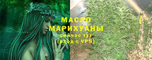 гидропоника Дмитриев