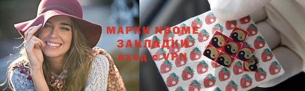 гидропоника Дмитриев
