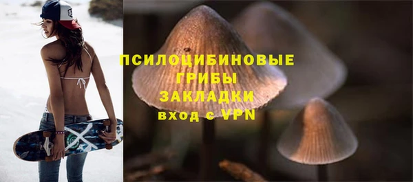 spice Дмитровск