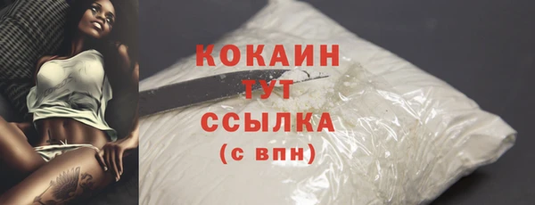 гидропоника Дмитриев