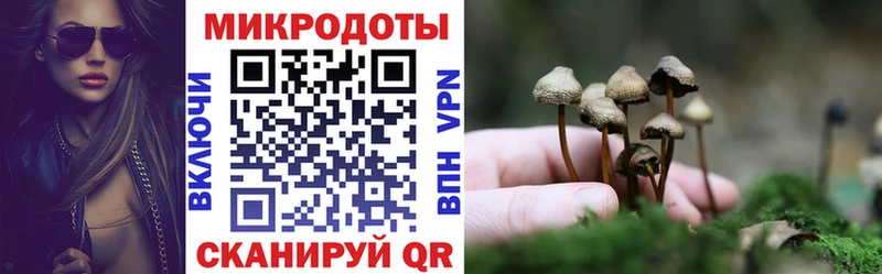 Купить закладки  Колпашево  Галлюциногенные грибы GOLDEN TEACHER 